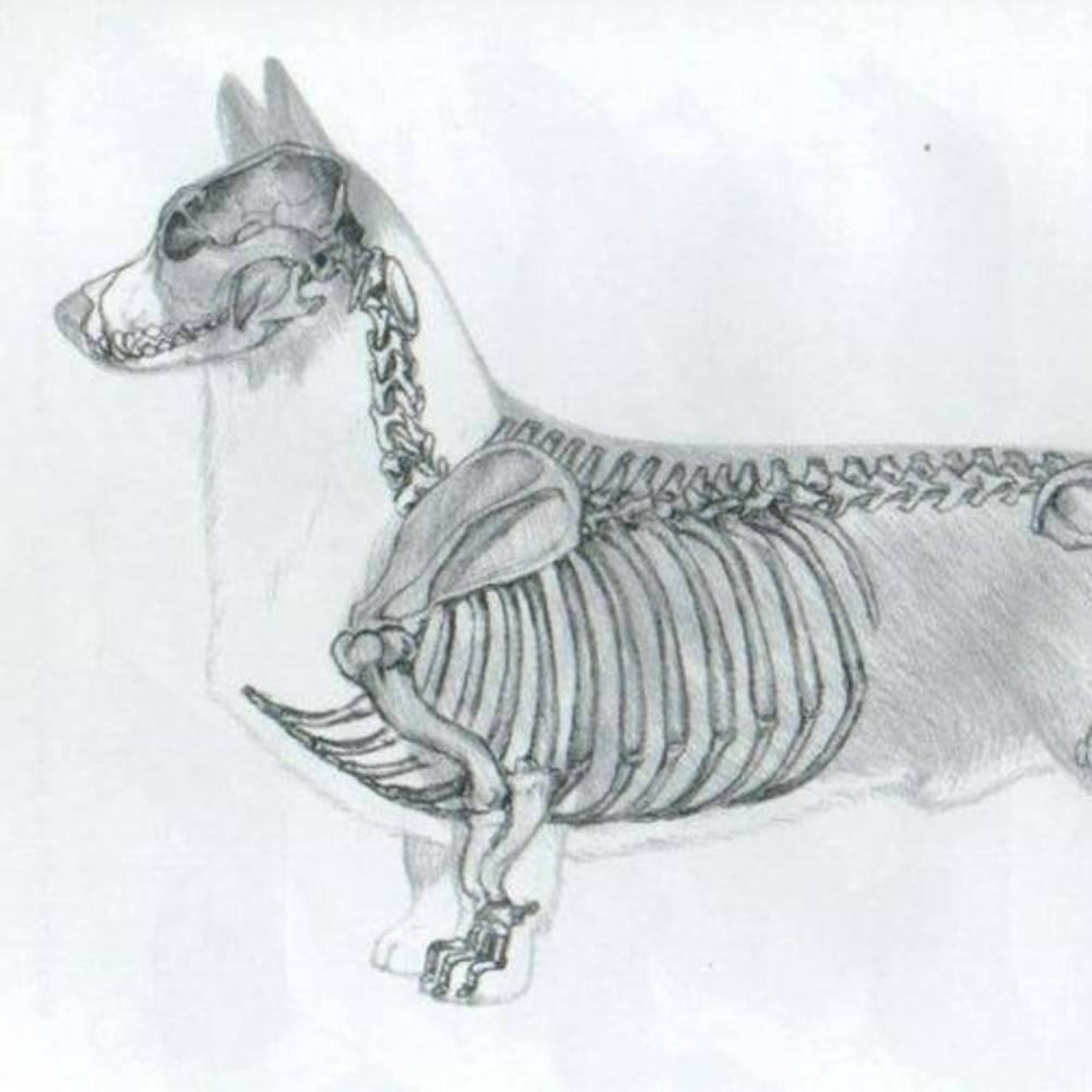 Meet your Posher, C!